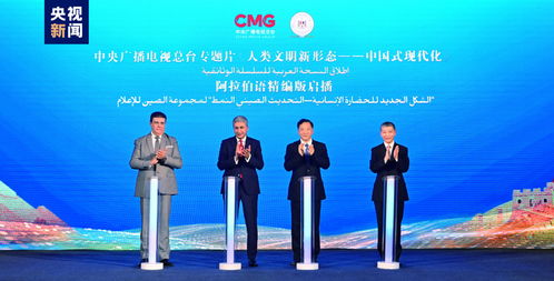 文明對話與世界關切 中埃伙伴年的意義與啟示